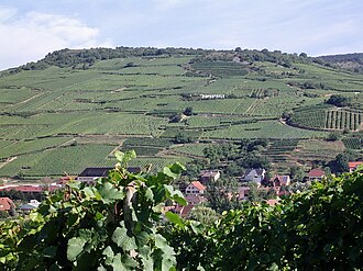 Alsace Grand Cru (Riquewihr)