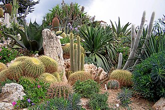 Jardin Exotique d'Èze