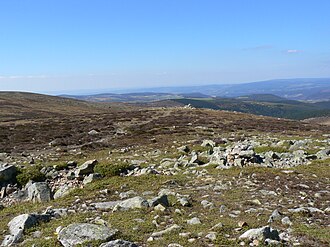 Sommet du Mont Lozère (Pic de Finiels)