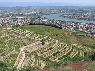 Tournon-sur-Rhône & Tain-l'Hermitage