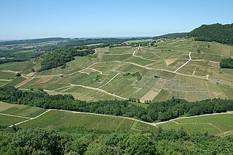 Château-Chalon (Berceau du Vin Jaune)