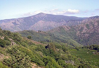 Mont Aigoual