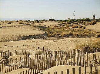 Plage de l'Espiguette
