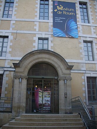Muséum d'histoire naturelle (Rouen)
