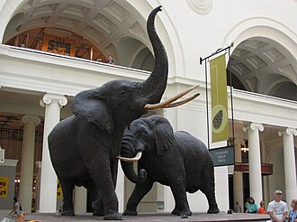 Muséum d'histoire naturelle (Toulon)