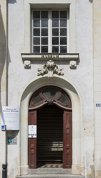 Muséum des sciences naturelles (Angers)