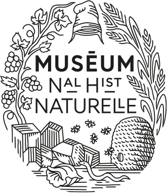 Muséum d'histoire naturelle (Troyes)