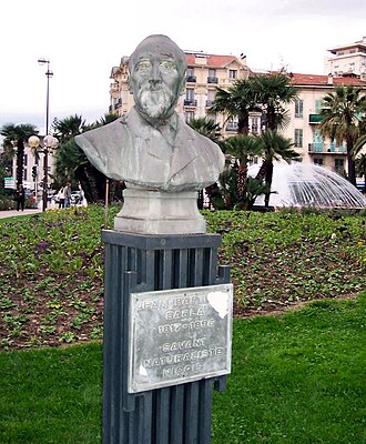 Muséum d'histoire naturelle (Nice)