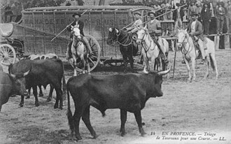Musée camarguais (Arles)