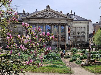 Muséum d'histoire naturelle (Nantes)