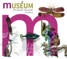 Muséum d'histoire naturelle (Le Havre)