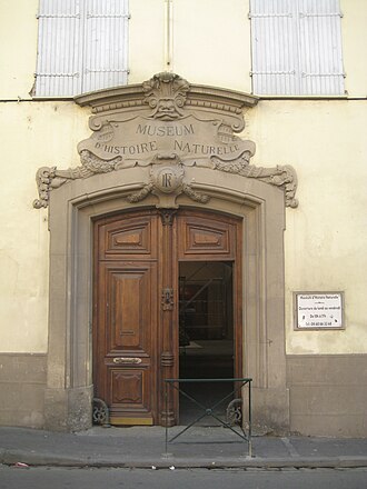 Muséum d'histoire naturelle (Perpignan)